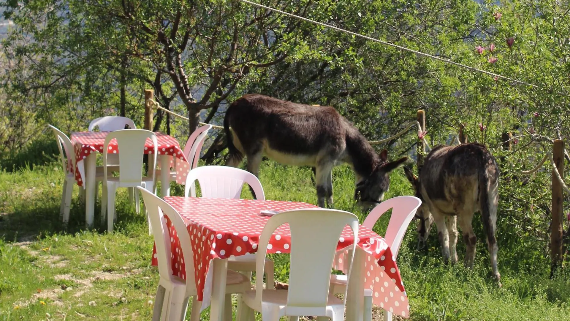 Segni E Impronta Bed & Breakfast Finale Ligure Italy