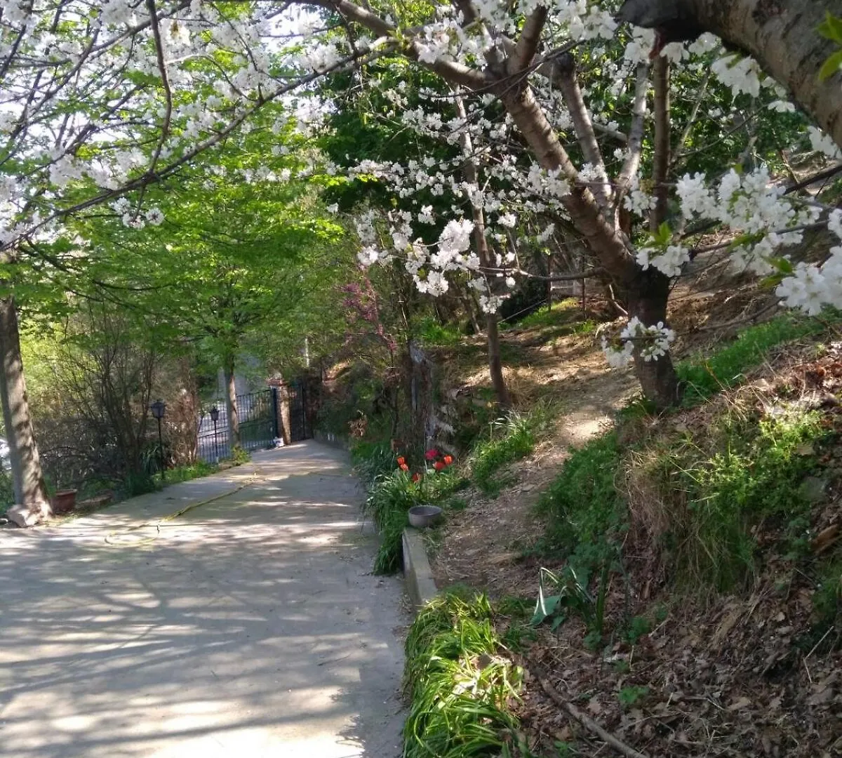 Segni E Impronta Bed & Breakfast Finale Ligure 0*,  Italy